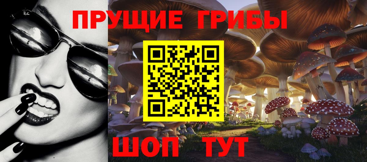 Псилоцибиновые грибы Cubensis Воткинск
