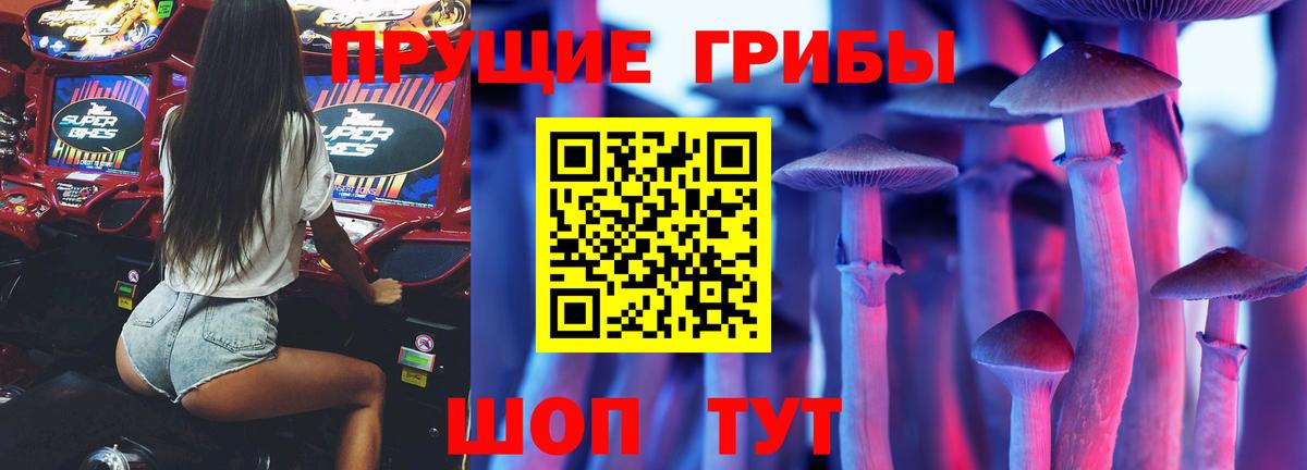 Воткинск  Псилоцибиновые грибы мицелий  Псилоцибиновые грибы прущие грибы  Вход с VPN 